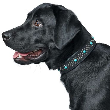 Luxus Hundehalsband, edle Nappaleder im Mix 4 cm breit