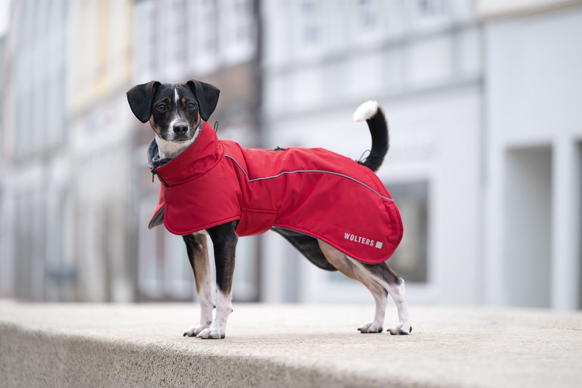 Wolters Cape Adventure Hundemantel | Happy-Petshop.de